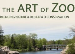The Art of Zoo: Blending Nature, Design, and Conservation