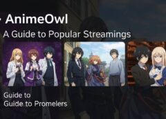 AnimeOwl: A Guide to the Popular Anime Streaming Platform